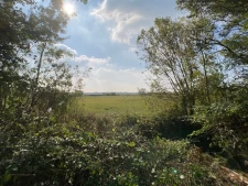  Maison en coeur de marais à seulement 10mn de la plage et d