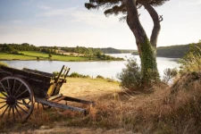 La Chapelle-Hermier-1