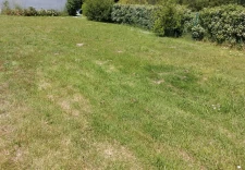  Terrain piscinable, libre de constructeur