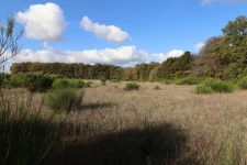 propriété de 180m2 habitable 6 chambres 6ha4 bois et prairie