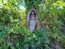 Saint Nicolas du Pelem-1