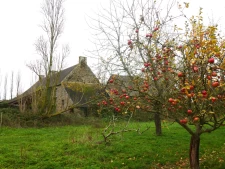 Magnifique longère XIXe siècle à rénover