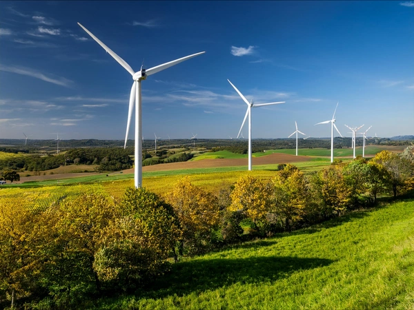 Quand la Touraine dit non aux éoliennes : un soulagement pour le patrimoine et la faune local