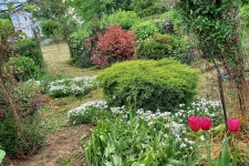 Maison centre bourg, rue calme