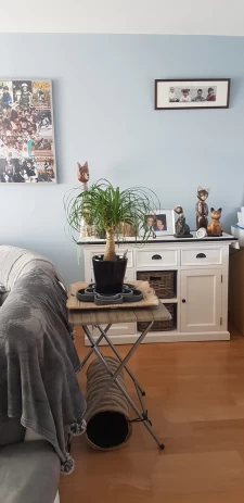 Aytré, maison familiale avec terrain de 384 m2