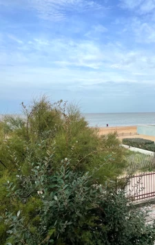  Très belle châtelaillonnaise sur le front de mer