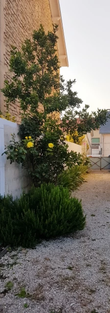 Châtelaillon centre, propriété familiale de caractère avec b