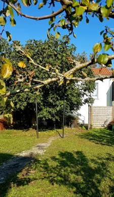 Angoulins, agréable maison avec jardin