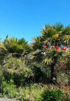  Aytré, maison de plain-pied  sur terrain de 600 m2