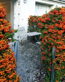 La Genette, La Rochelle, 22 m2