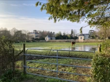 Thouaré-sur-Loire-2