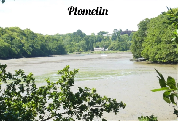 Plomelin