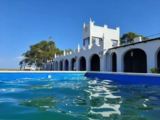 How International Referrals Can Become a Major Yearly Income Stream 💰