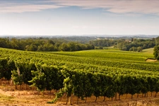 Ladevèze Rivière, Plaisance (32160, Marciac (32230), Maubourguet (65700) et environs