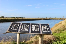 L'Île d'Olonne et le Pays des Olonnes-1