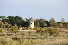 L'Île d'Olonne et le Pays des Olonnes-2
