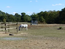PROPRIETE du 19ème siècle de 300 m2 avec terrain de 4ha envi