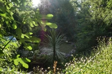 MAISON DE CHARME 75m2 dans un lieu d'exception