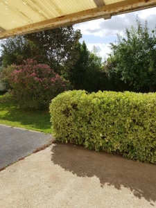 Maison sur terrain de plus de 850 m2