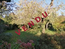 Maison familiale avec grand jardin