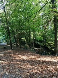 Canclaux-Procé T1 avec grande cuisine