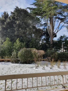 T2 100m des Halles et 250m des plages