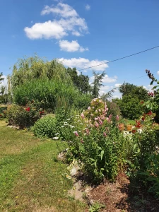 Bien atypique campagne 