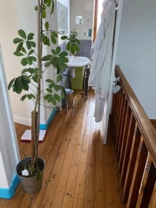 Saint-Herblain quartier Beauséjour