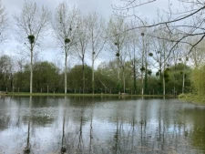 Saint-Georges de Pointindoux