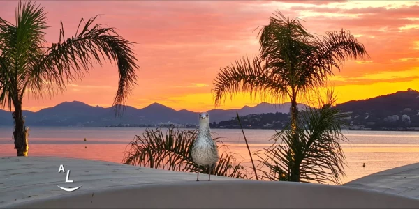 Juan les pins