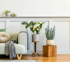 Besoin d’aide pour trouver un bien à louer ?