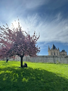 Vincennes