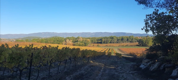 LUBERON