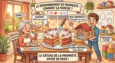 🍰 L'art de "couper le gâteau" : Le secret bien gardé du démembrement de propriété !