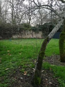 MAISON RESTAUREE 148 M2 AVEC JARDIN