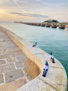 Les Sables d'olonnes - Le Pays des Olonnes