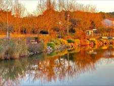 Tanchet - La Pironnière-1