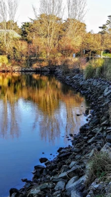 Tanchet - La Pironnière-2