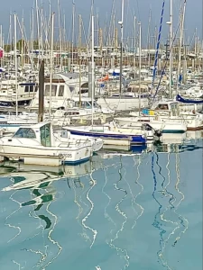 Port Olona