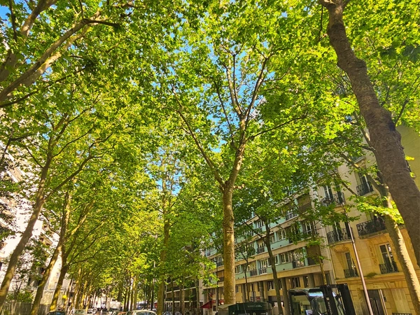 Rue de Rémusat - Paris 16
