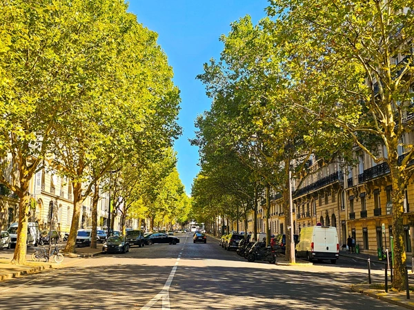 Avenue d'Iéna - Paris 16