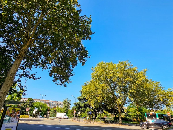 Avenue Georges Lafont - Paris 16