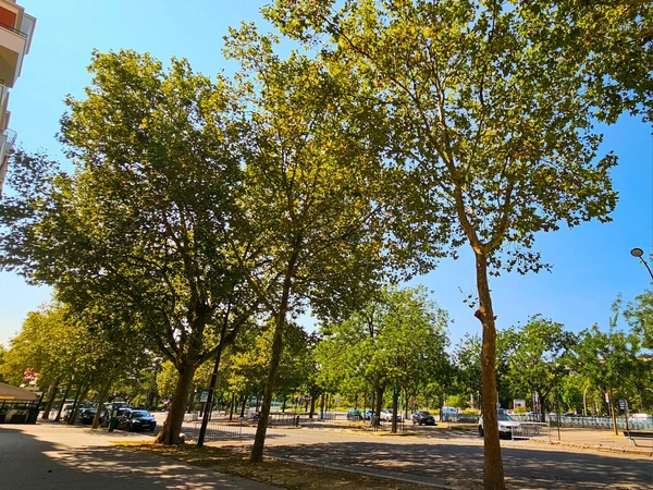 Place du Docteur Paul Michaux - Paris 16