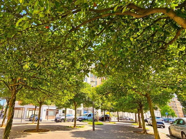 Avenue du Général Clavery - Paris 16
