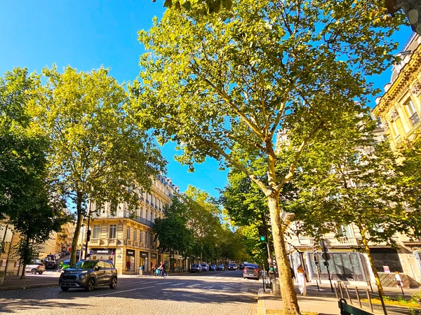 Avenue Victor Hugo - Paris 16