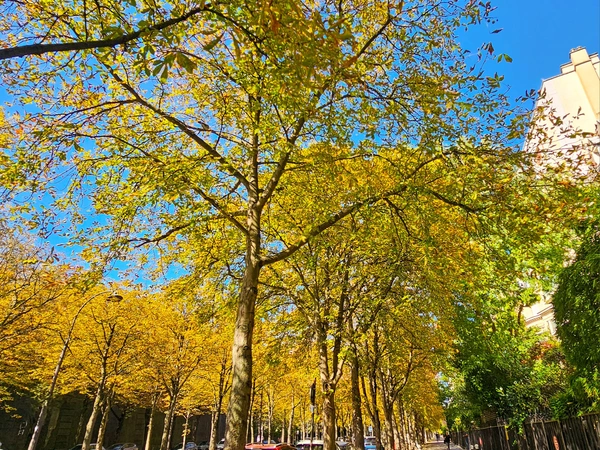 Avenue Georges Mandel - Paris 16