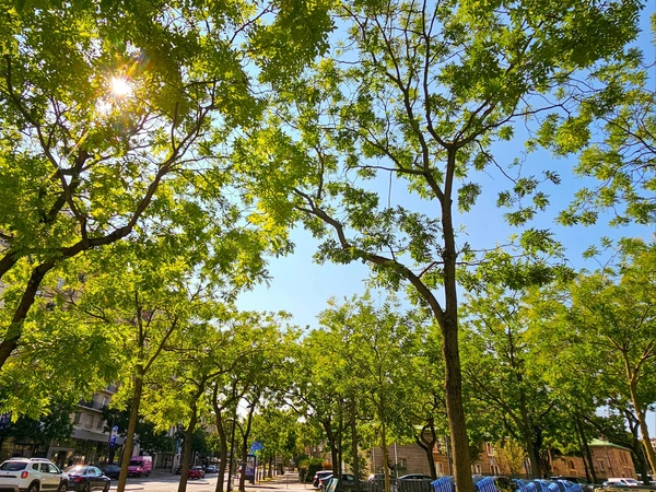 Place du Général Stefanik - Paris 16