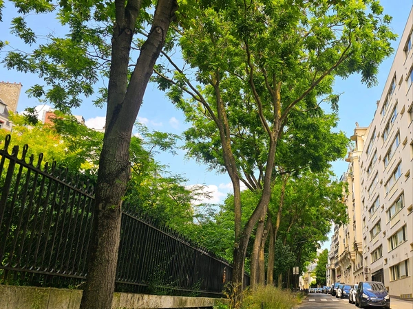 Boulevard de Montmorency - Paris 16