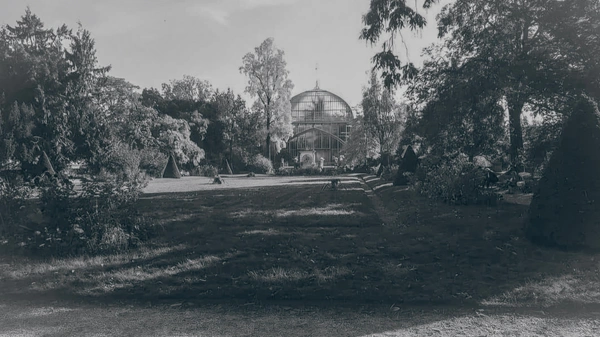 Les botaniques d’Auteuil 2026 : quand la nature révèle tout le charme du 16e arrondissement