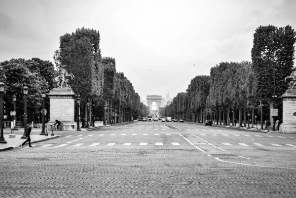 CHAMPS ÉLYSÉES